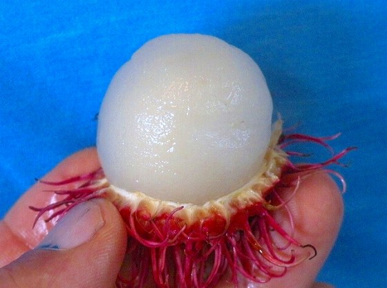 透き通る感じが良い