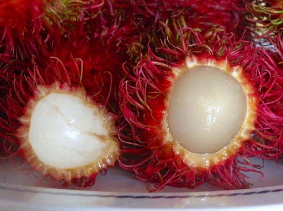 実がきりっと締まった感じの物が新鮮