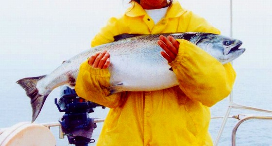 同じ種類のルアーで、アラスカで釣り上げたキングサーモン。